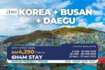 Muslim Friendly Korea Busan Daegu