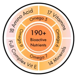 benefits icon